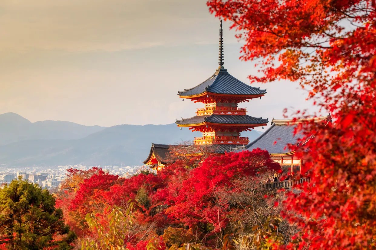 Japan autumn luxury escape overview image